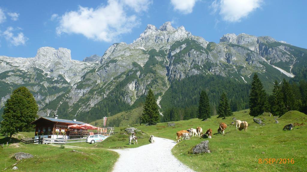 Appartement Ginschel Altenmarkt im Pongau Eksteriør billede